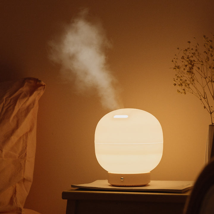 Indoor Household Air Humidifier