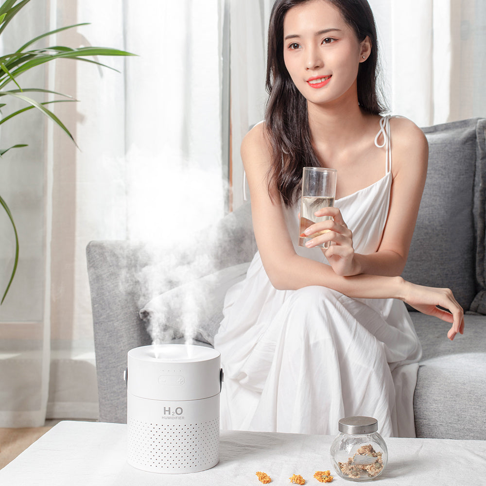 Alana Air Humidifier